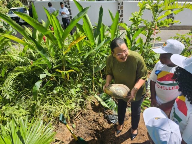 Amanda planting